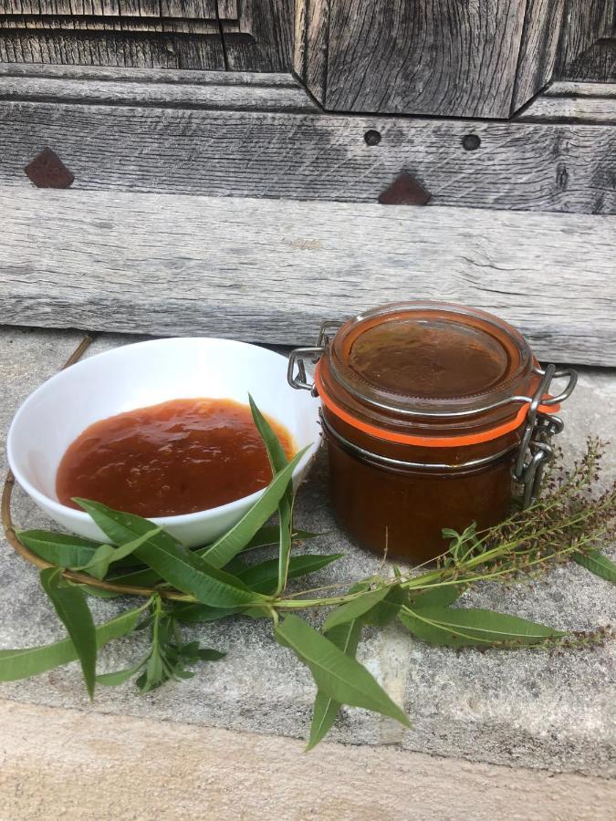 Maison Lou Roucas Cabrieres-d'Aigues エクステリア 写真