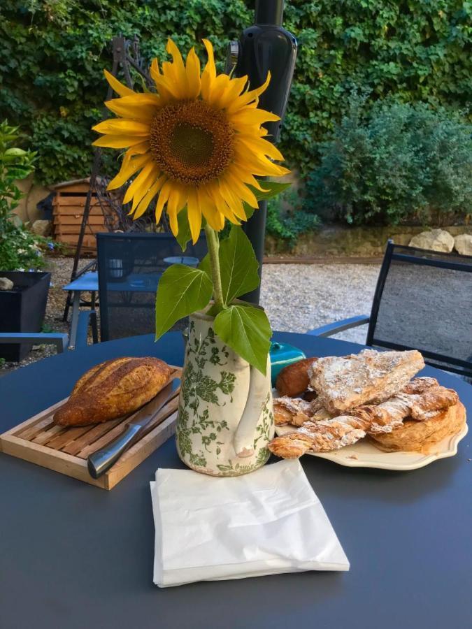 Maison Lou Roucas Cabrieres-d'Aigues エクステリア 写真